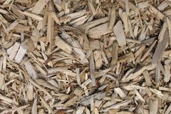 biomass boilers Idle